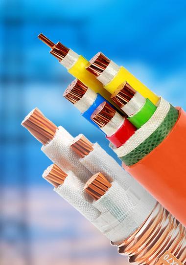 电缆生产厂家_提供低烟无卤/架空绝缘电缆产品定制与批发_博一线缆